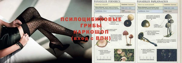 прущие крисы Алексин