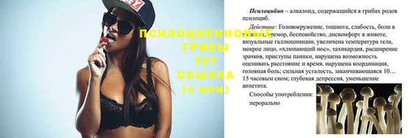 a pvp Снежногорск