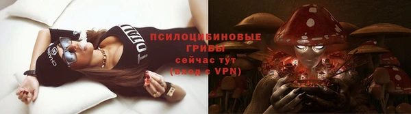 прущие крисы Алексин