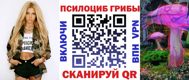 Псилоцибиновые грибы Cubensis  сколько стоит  Киреевск 