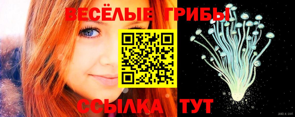Киреевск  Псилоцибиновые грибы прущие грибы  Вход с VPN 